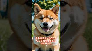 犬が最高に幸せを感じているサイン５選　#shorts  #いぬのきもち #犬のいる生活 # #雑学 #わんこ