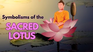 The Sacred Lotus: Ancient Wisdom Unveiled