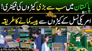 Pakistan's Largest Insect Factory! How to Make Money with American Breed Insects | Discover Pakistan