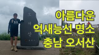 #충남 #오서산 가을 억새능선이 아름다운 곳