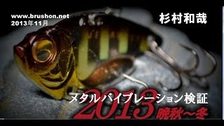 メタルバイブレーション検証 2013晩秋～冬/杉村和哉・琵琶湖