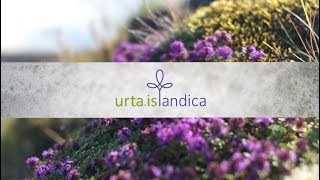 Urta Islandica - Making Jam - Icelandic Times