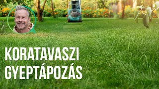 Koratavaszi gyep táplálás az erős és egészséges pázsitért | kert TV