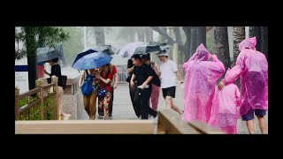 骤雨初晴，云霄雨霁