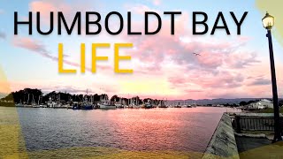 We Live On Humboldt Bay / Surprise Reveal! / VAN LIFE