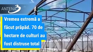 Vremea extremă a făcut prăpăd. 70 de hectare de culturi au fost distruse total