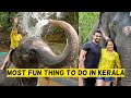 Elephant Bathing In Kerala | Thekkady Vlog Part 2 | Two Off To