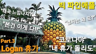 [Logan 호주일상\u0026호주여행] 빅 파인애플 ㅣ 오지 월드 ㅣ에어 뮤지엄 ㅣ카트 트랙 ㅣ 휴가 Vlog l 선샤인 코스트 ㅣ