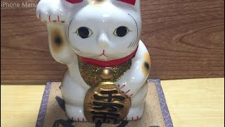 まねきねこの動画｜IMG 4516