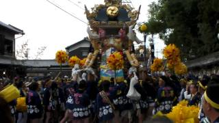 天満　2　宮入　　魚吹八幡神社　秋祭り　昼宮　2010