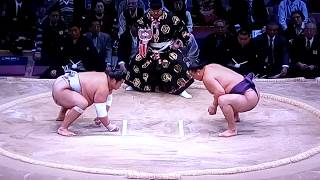 Homarefuji vs Soukokurai Sumo[Kyushu Basho 2017 Final Day, November 26th] 20171126