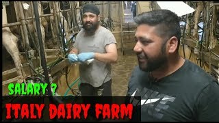 Italy dairy farm full explain ਇਟਲੀ ਦੇ ਕੰਮ #4