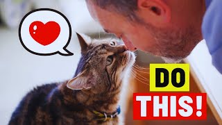 10 Ways to Tell Your Cat YOU LOVE THEM (in a Language THEY UNDERSTAND)