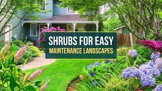 Gorgeous Shrubs for Easy Maintenance Landscapes 🌳🌼 Easy care Garden ❤😍