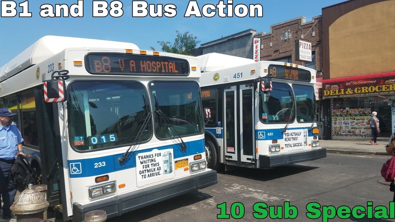 MTA New York City Bus: B1 And B8 Bus Action (10 Sub Special!) - YouTube