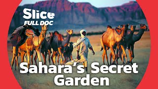 Ennedi Massif: Discovering Chad's Hidden Garden of Eden in the Sahara Desert | FULL DOCUMENTARY