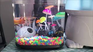 Aqueon mini cube 1 6 aquarium unboxing and review