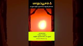 வடலூர் மாத பூச ஜோதி தரிசனம் | Vadalur Jothidharsanam #வள்ளலார் #vallalar #vadalurjothidharsanam