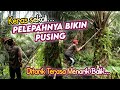 Pruning Palm Oil Using Egrek - Many Midribs Bouncing