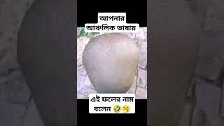 #সব #funny #comedy #আপনার আঞ্চলিক ভাষায়  এই ফলের নাম বলেন #shorts