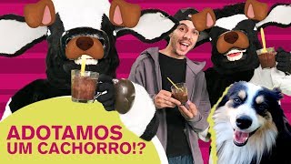 ADOTAMOS UM CACHORRO!?