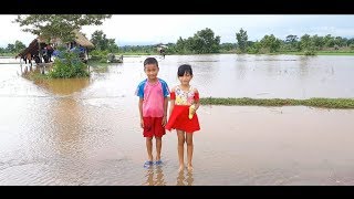 ฝนตกแฮงบ้านนาเฮา.น้ำล้นไฮ่ล้นคันนา《》ຝົນຕົກແຮງບ້ານເຮົານ້ຳລົ້ນໄຮ່ລົ້ນຄັນນາ ທຳມະຊາດດີໆພີ່ນ້ອງ