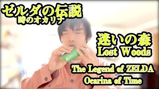 【オカリナ演奏】迷いの森 / ゼルダの伝説 時のオカリナより