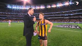 AFL 2013: LAST 5 MINUTES - Hawthorn vs. Geelong (Preliminary Final)