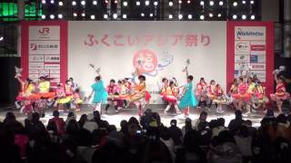 チームあんみつ姫さん　2014　ふくこいアジア祭り