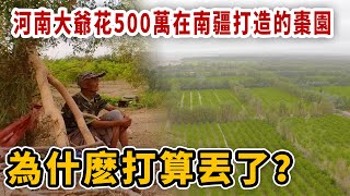 河南大爺，花500萬在南疆種了200畝紅棗，打算不要了【新疆行記4|想落天外】