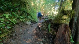 Best Hikes Washington State | Staircase Rapids Loop Trail, Olympic National Park