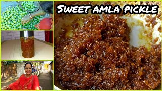 How to make Amla Aachar in home |ଘରେ ସହଜରେ ଆମଲା ଆଚାର୍ କିପରି ତିଆରି କରିବେ |#odiavlog #odiarecipe