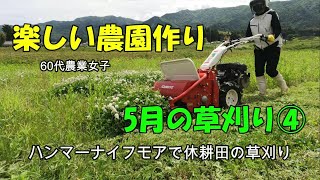 【楽しい農園作り】5月の草刈り④ハンマーナイフモアで休耕田の草刈り