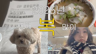 설연휴 vlog : 혼자서🎬서브스턴스🍤🧪🤸🩸 친구랑 마라탕냠🍜피자냠🍕 티셔츠/lp언박싱📦할머니병문안🩺갱얼쥐들산책🐶🐶