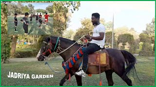 Baghdad garden. first time of Riding a Horse!!😂💕@(Iraq Baghdad)