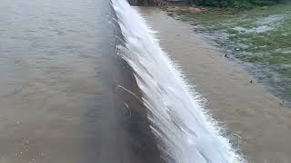 #pachaiyar dam #kalakkad😍 #native #greennaturesounds  #waterfall