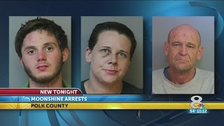 Three Polk County residents charged with selling illegal booze