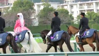 H27.12.13　11R本馬場入場　阪神ＪＦ　阪神競馬場