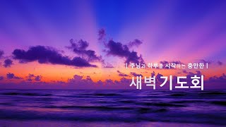 충만한교회 l 2025. 2. 19.(수) l 새벽기도회 | 요한복음 5 : 15 ~ 18 | 임다윗 담임목사