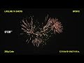 Lifeline - Brothers Fireworks - 350 Gram BP2672