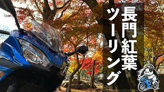 【#146】山口県紅葉\u0026桜の名所  長門大寧寺【山口県はっちライダーモトブログkawasaki Ninja650】【山口県おすすめツーリングスポット】