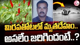 మిరపతోటలో మృ_త_దే_హం.. అసలేం జరిగిందంటే..? ||Telugu Latest News ||@sumantvtuni