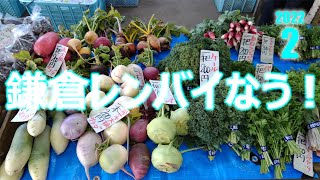 鎌倉野菜の直売所レンバイで2022年２月１日に売っていた野菜がすべてわかります。鎌倉のレンバイに行く前に絶対にチェックして鎌倉野菜の世界にどっぷり浸ろう!