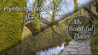 My Beautiful Places - Plymbridge Woods UK (Ep.01)