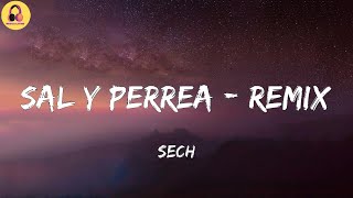 Sech-Sal y Perrea - Remix (Letra/Lyrics)