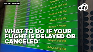 Flight chaos: Expert explains how to survive cancellations and beat holiday delays