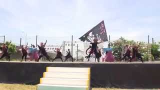 第１１回犬山踊芸祭（２０１４）　２日目　【志響】　満開