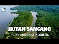 SAKRAL..! LEUWEUNG SANCANG, HUTAN ANGKER DI INDONESIA DAN MOKSA PRABU SILIWANGI