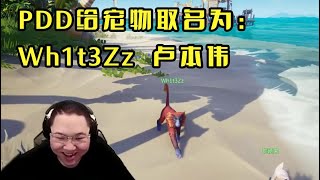 【PDD】盗贼之海P4：PDD买了一只狒狒当宠物，取名为Wh1t3Zz！