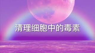 《清理细胞中的毒素》